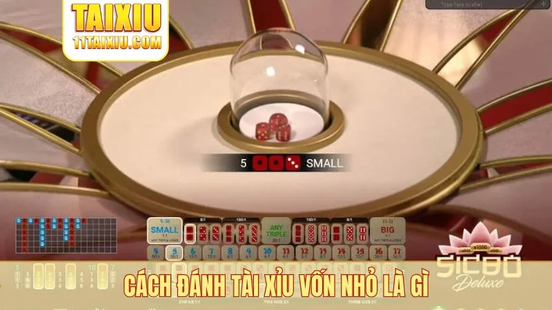 Cách đánh tài xỉu vốn nhỏ là gì