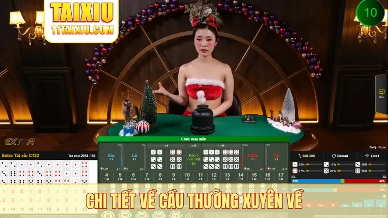 Chi tiết về cầu thường xuyên về