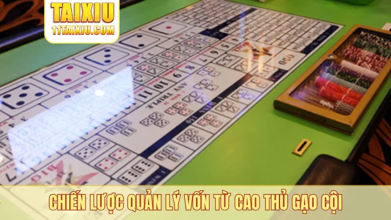 Chiến lược quản lý vốn từ cao thủ gạo cội