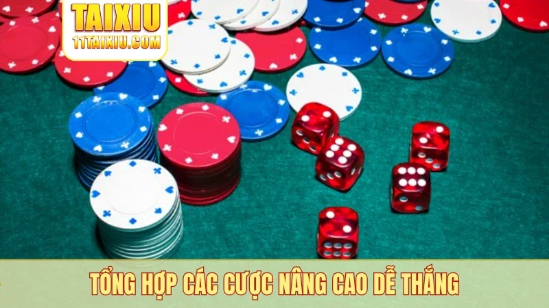 Tổng hợp các cược nâng cao dễ thắng