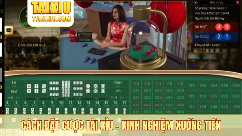 Cách đặt cược tài xỉu