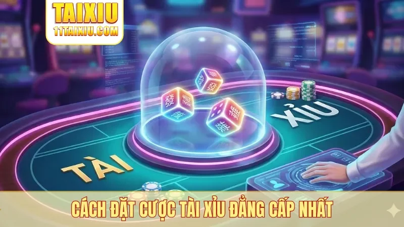 Cách đặt cược tài xỉu đẳng cấp nhất