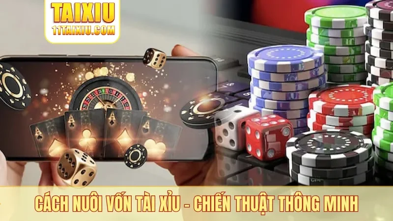 Cách nuôi vốn tài xỉu