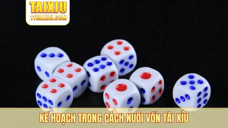 Kế hoạch trong cách nuôi vốn tài xỉu